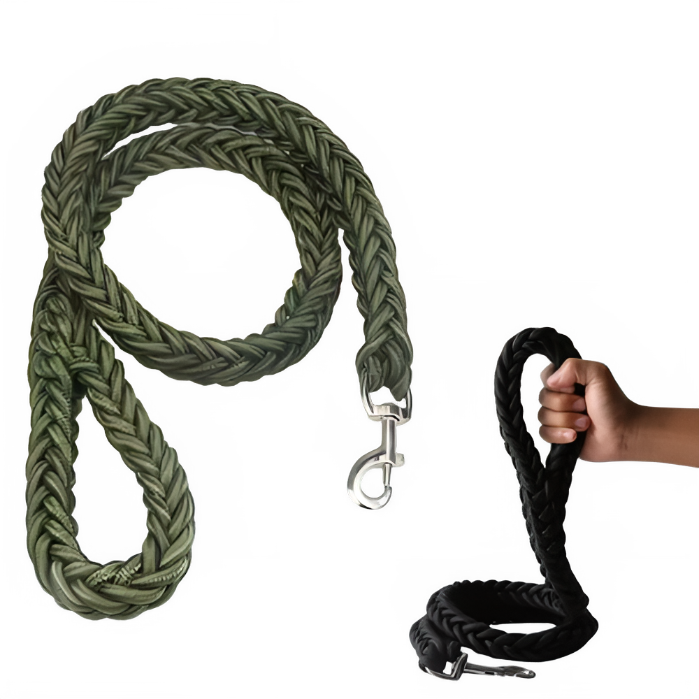 3fdd79c2-858d-47b9-b332-0329f375393f