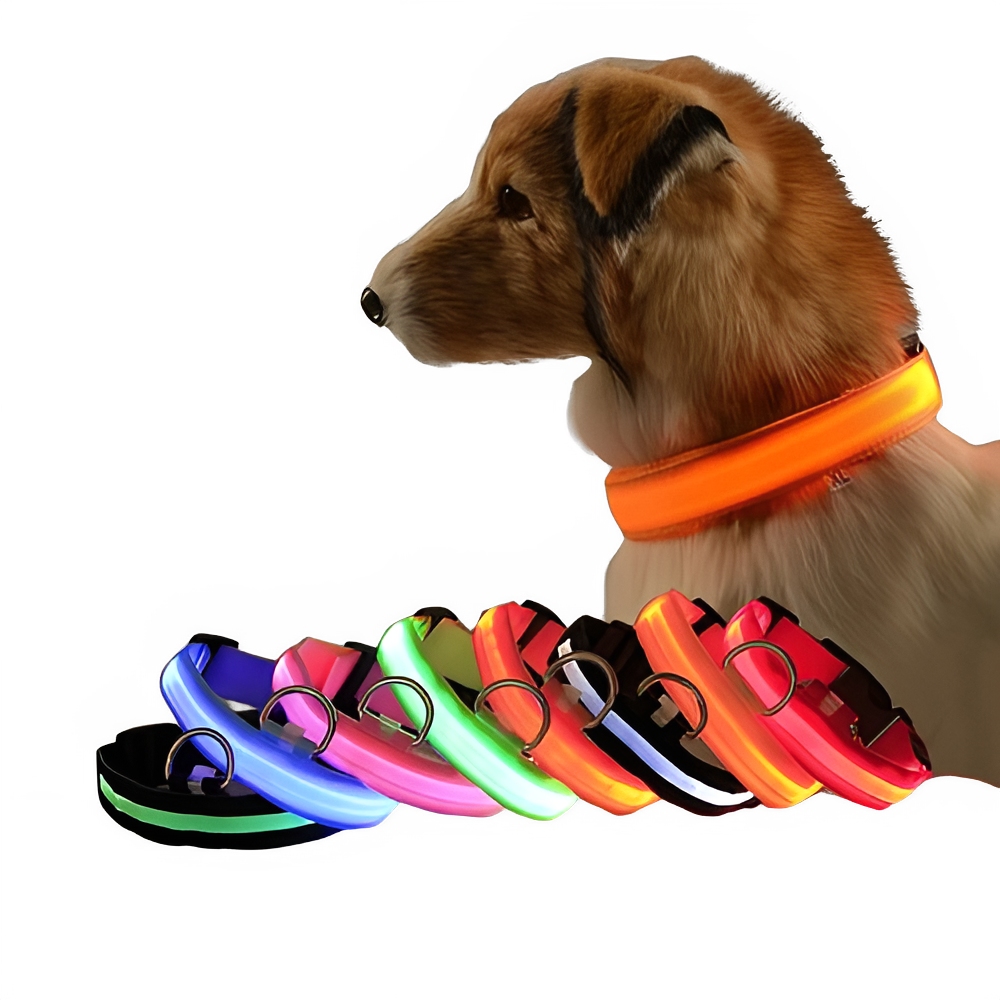 509c02f0-12c0-44af-9dfd-f11b382ae597