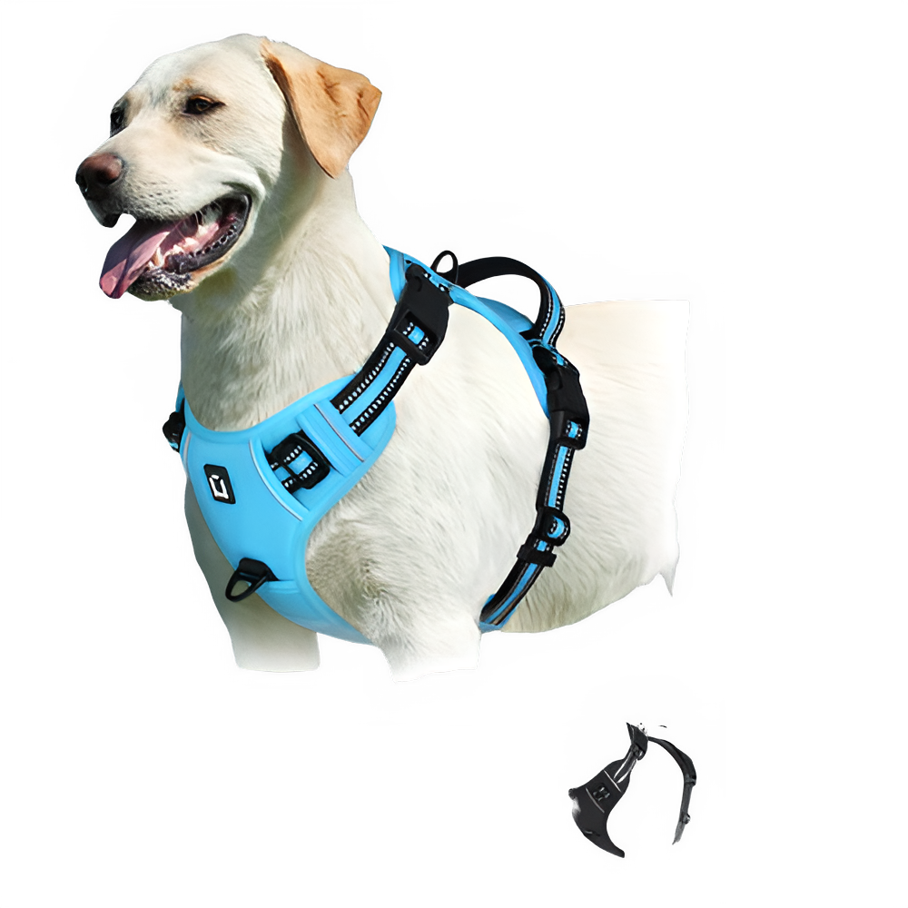 68f51a33-7f5d-4b06-bd48-e68232b22335